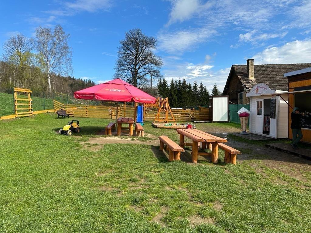 Ferienwohnung Agroturystyka Alpaka Konradow Konradow  Exterior foto